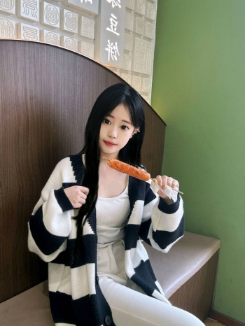 花栗鼠的照片