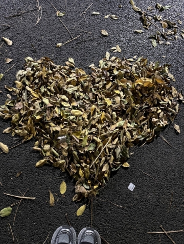 优酱的照片