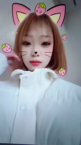 嘉嘉鸭的照片
