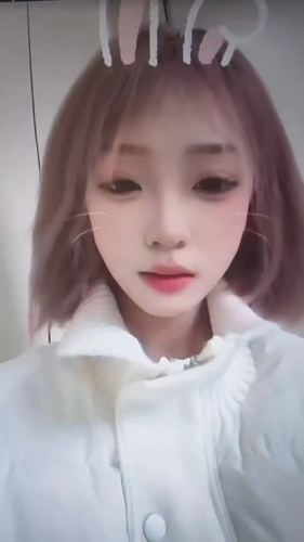 嘉嘉鸭的照片
