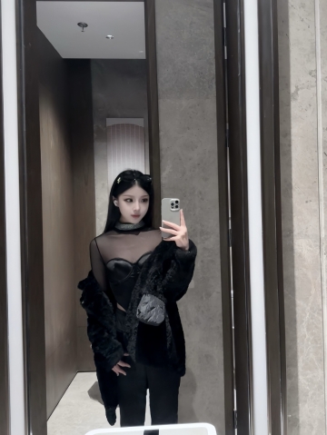 小海豚的照片
