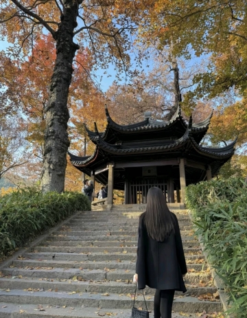 不予的照片