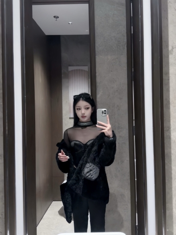 小海豚的照片