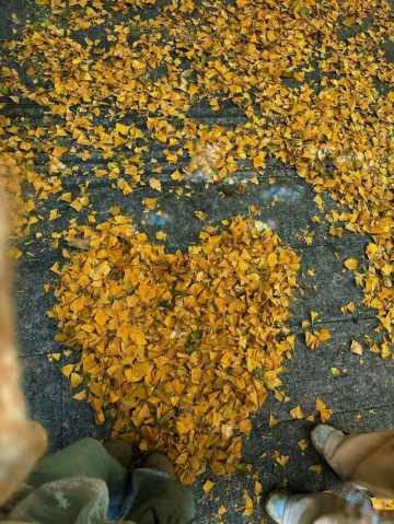 无忧小桃的照片