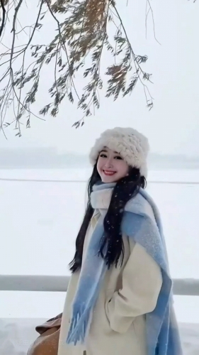小百合的照片