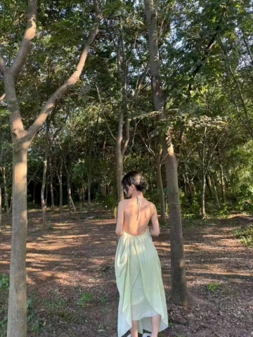 无忧小桃的照片