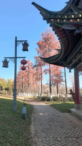 心跳分你一半的照片