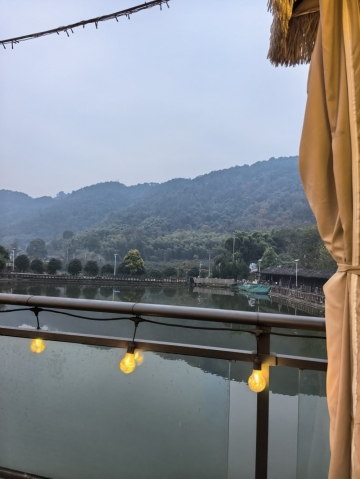 狐狸糊涂的照片