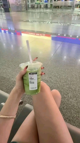 布拉多的照片