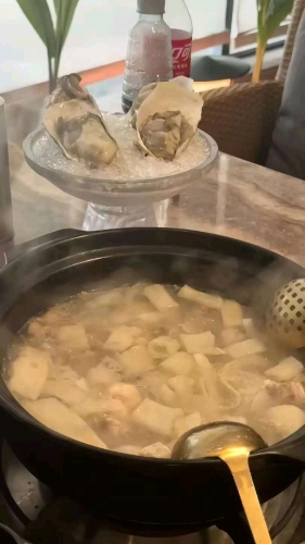布拉多的照片