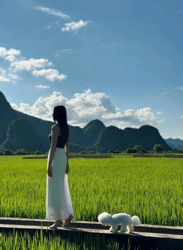 桃之夭夭吖的照片