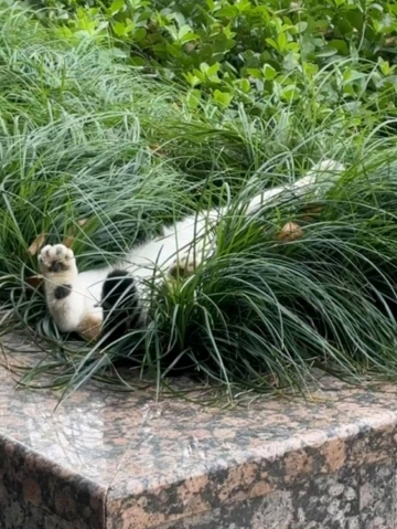 愿時光不被辜负的照片