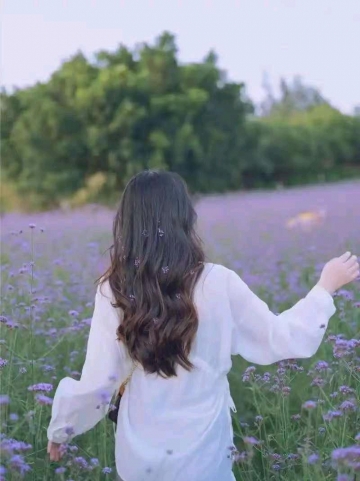 桃之夭夭吖的照片