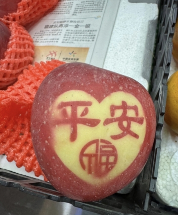 爱丽娜的照片