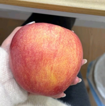 橘子树上的葡萄的照片