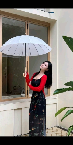 菲菲琳的照片