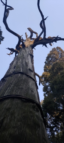 蓝色信仰的照片