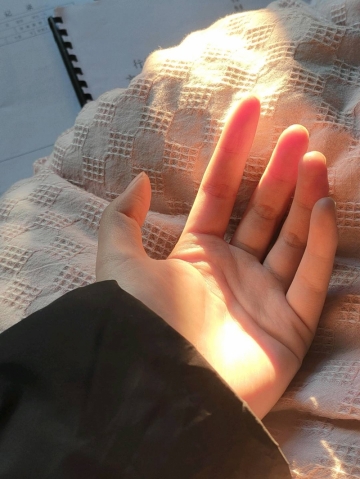 荔枝糖的照片