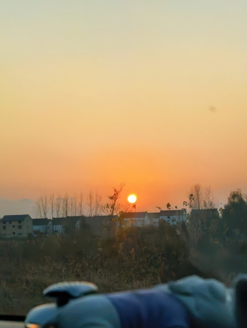 小樱爱世界的照片
