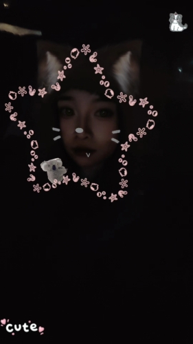 林鹿的照片