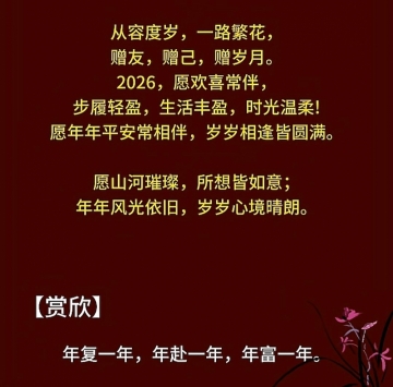 F飞翔的蜗牛的照片