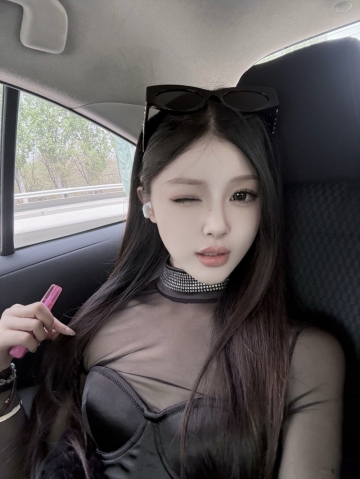小海豚的照片