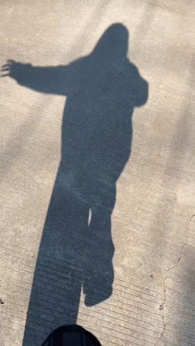 哆啦A梦的小口袋的照片