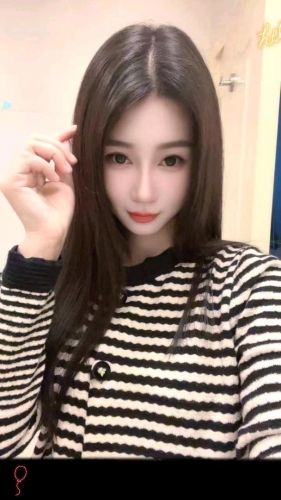 笨笨狗的照片