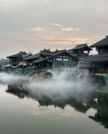 狐狸糊涂的照片