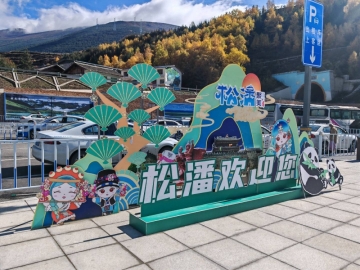 人生如夢的照片