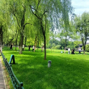 勤萌萌的照片