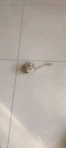 晴天有风的照片