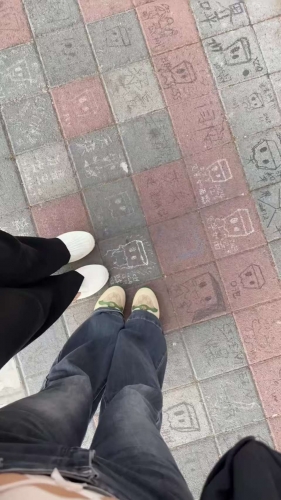 布拉多的照片