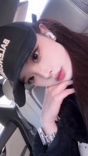 小海豚的照片