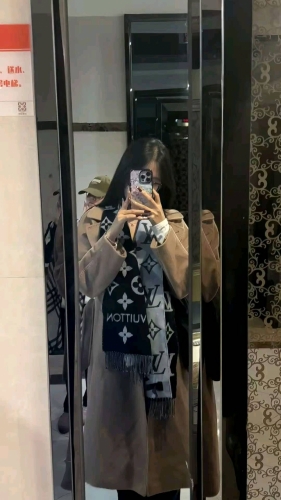 布拉多的照片