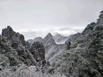 海归钢琴老师的照片
