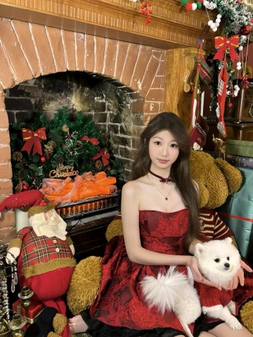 小猫喵咪的照片