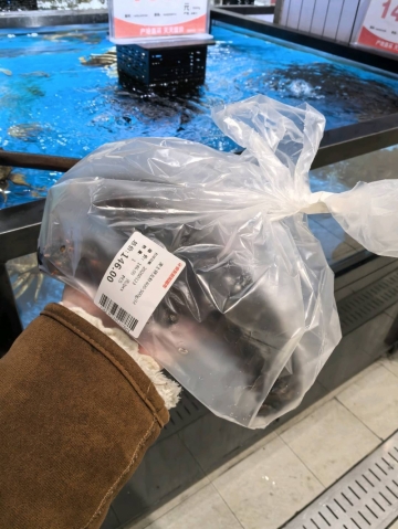 AAA苏妲己的照片