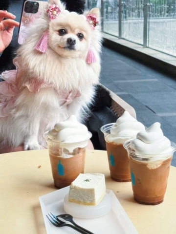 海归钢琴老师的照片
