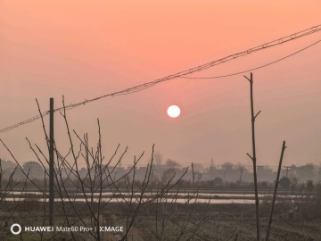 呃啊嘿的照片