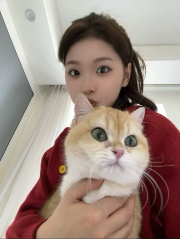 露露l的照片