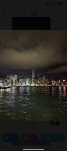 友善的卡皮巴拉的照片