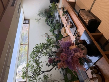 樱桃酱的照片