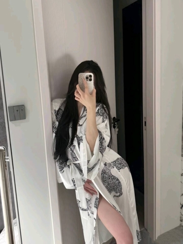 月季花开的照片