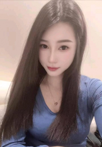 笨笨狗的照片