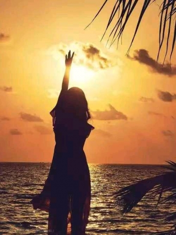 阳光总在风雨后的照片