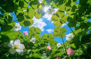 可爱的小夏沫的照片