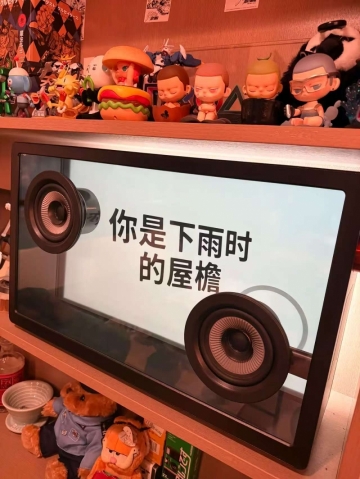 小刀鱼的照片
