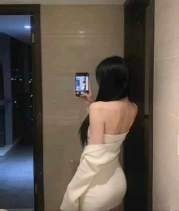 月季花开的照片