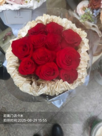 猫猫妮吖的照片